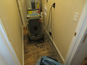 water damage repairs